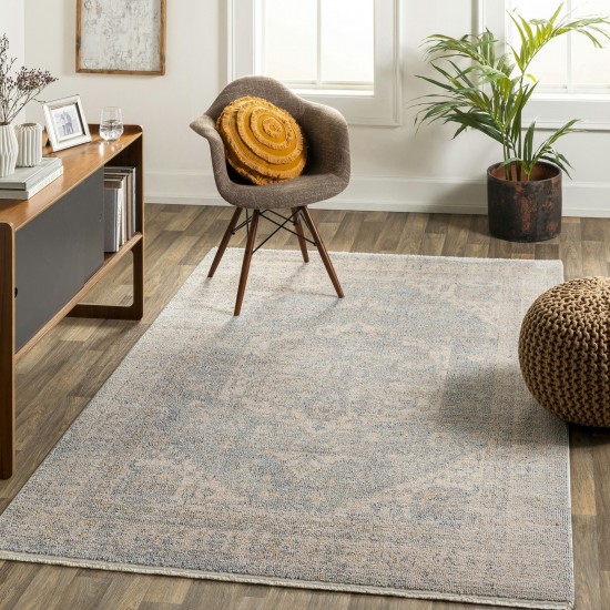 Surya Subtle Sub-2306 Light Blue Rug 5'3" X 7'