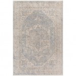 Surya Subtle Sub-2306 Light Blue Rug 6'7" X 9'