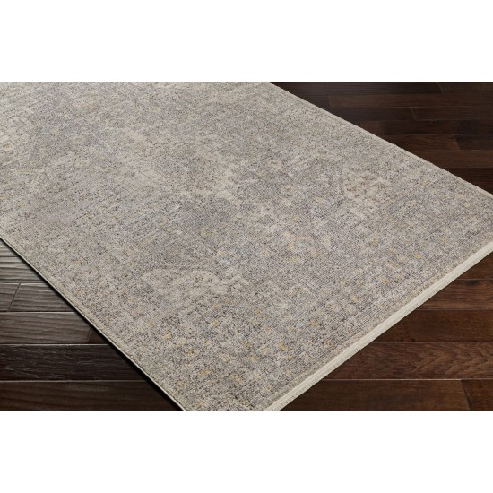 Surya Subtle Sub-2318 Light Gray Rug 6'7" X 9'