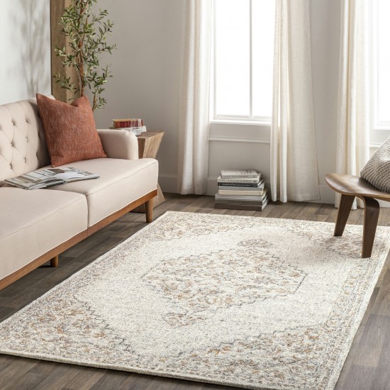 Surya Symphony Light Gray Rug 2' X 3'