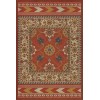 Persian Bazaar - Balouch - Jannat 20x30 Vintage Vinyl Floorcloth