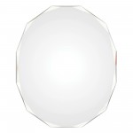 Astor Irregular Mirror 24 X 28