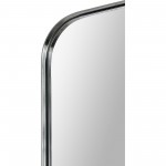 Delphinus Rectangle Mirror 20 X 46 X 1