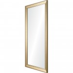 Cathcart Rectangular Mirror 30 X 60 X 1.45