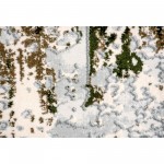 Ariella Rectangle Grey/Green Indoor Rug 3'28" X 4'92" Ft