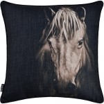 Del Rio Pillow 20X20