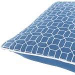 Surya Fenna Blue Pillow Shell With Polyester Insert 22"H X 22"W