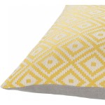 Surya Kanga Kga-004 Gray Pillow Shell With Polyester Insert 22"H X 22"W