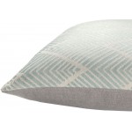 Surya Kanga Kga-006 Gray Pillow Shell With Down Insert 22"H X 22"W