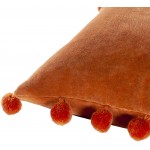 Surya Serengeti Brick Red Pillow Shell With Down Insert 18"H X 18"W