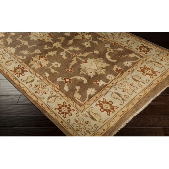 Surya Ainsley Ain-1009 Brown Rug 2'6" X 8'