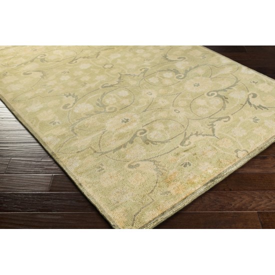 Surya Ainsley Light Olive Rug 2' X 3'