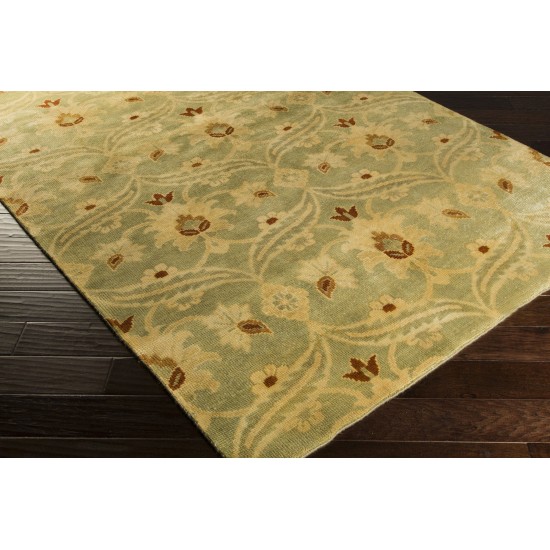 Surya Ainsley Ain-1014 Light Olive Rug 2'6" X 8'