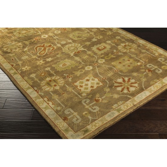 Surya Ainsley Ain-1016 Brown Rug 2' X 3'