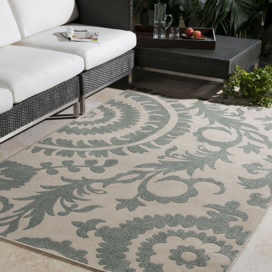 Surya Alfresco Dusty Sage Rug 8'10" Round