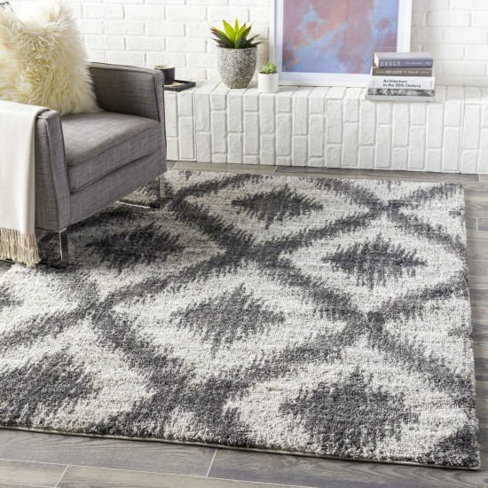 Surya Aliyah Shag Light Gray Rug 2' X 3'