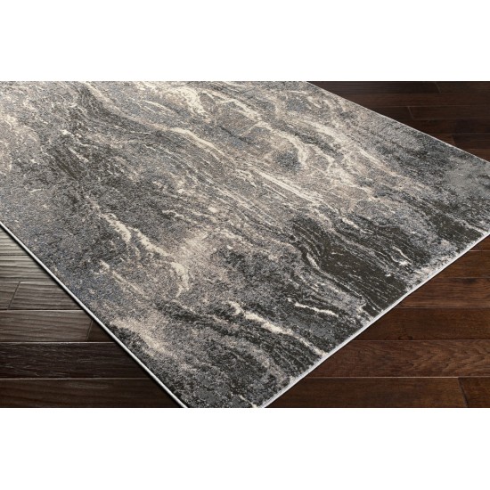 Surya Amadeo Charcoal Rug 2' X 3'7"