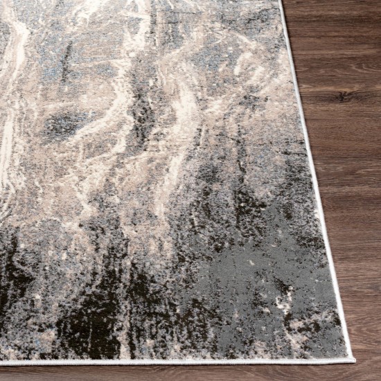 Surya Amadeo Charcoal Rug 2' X 3'7"