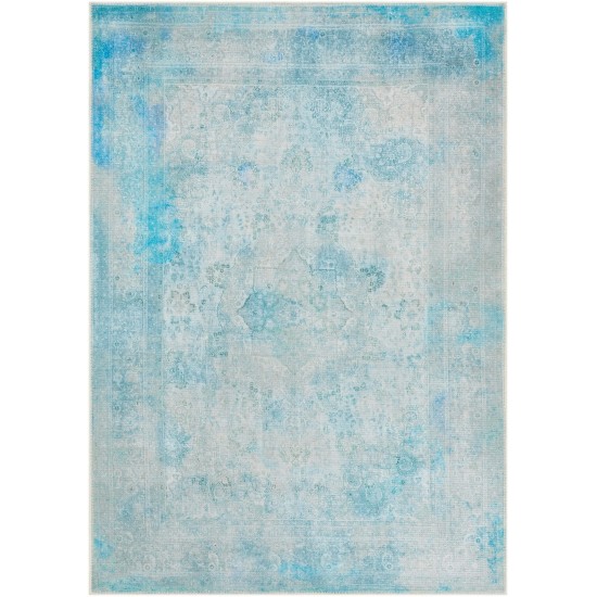 Surya Amelie Aml-2305 Blue Rug 2' X 2'11"