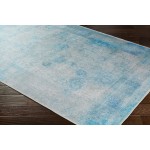 Surya Amelie Aml-2305 Blue Rug 2' X 2'11"