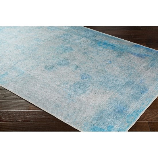 Surya Amelie Aml-2305 Blue Rug 2' X 2'11"