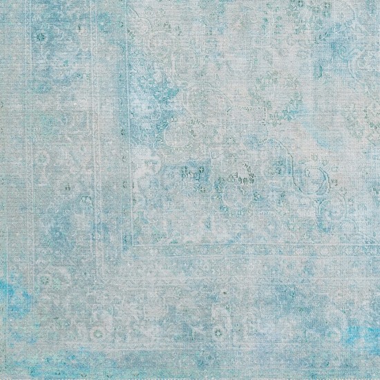 Surya Amelie Aml-2305 Blue Rug 2' X 2'11"