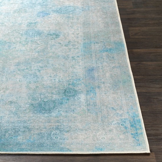 Surya Amelie Aml-2305 Blue Rug 2' X 2'11"