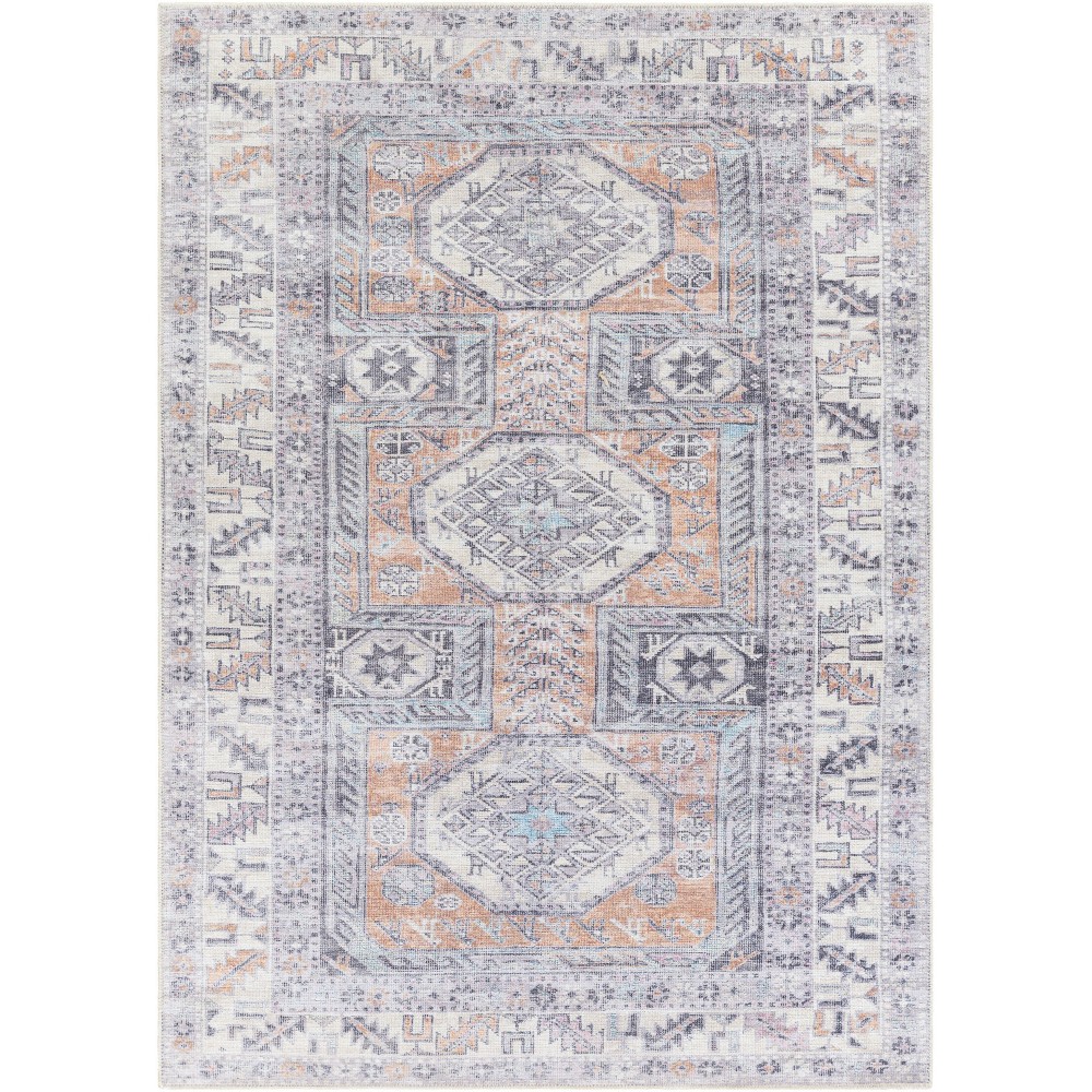 Surya Amelie Aml-2316 Blue Rug 2' X 2'11"