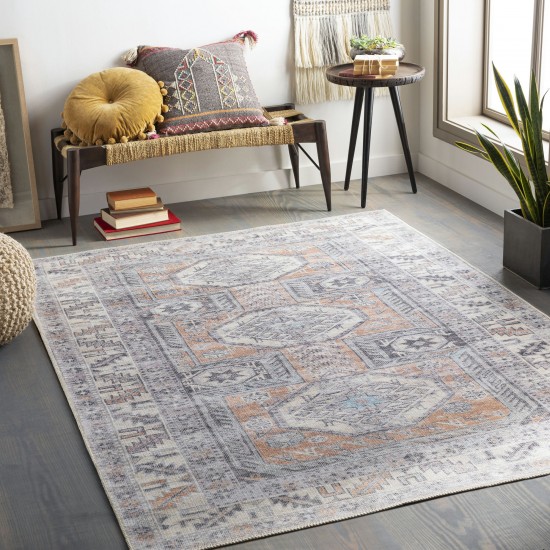 Surya Amelie Aml-2316 Blue Rug 2' X 2'11"