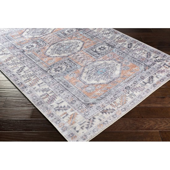 Surya Amelie Aml-2316 Blue Rug 2' X 2'11"