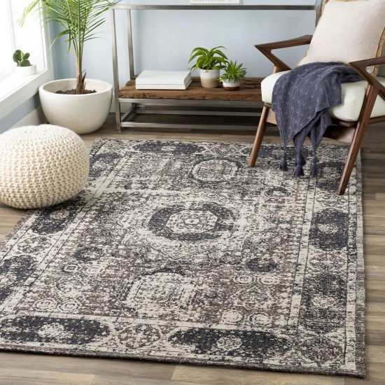 Surya Amsterdam Dark Brown Rug 2' X 3'