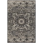 Surya Amsterdam Ams-1018 Charcoal Rug 2' X 3'