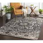 Surya Amsterdam Ams-1018 Charcoal Rug 2' X 3'