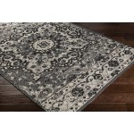 Surya Amsterdam Ams-1018 Charcoal Rug 2' X 3'