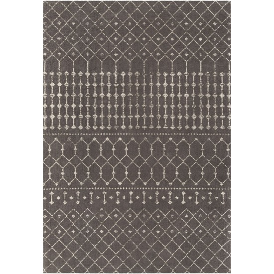 Surya Amsterdam Ams-1026 Charcoal Rug 2' X 3'