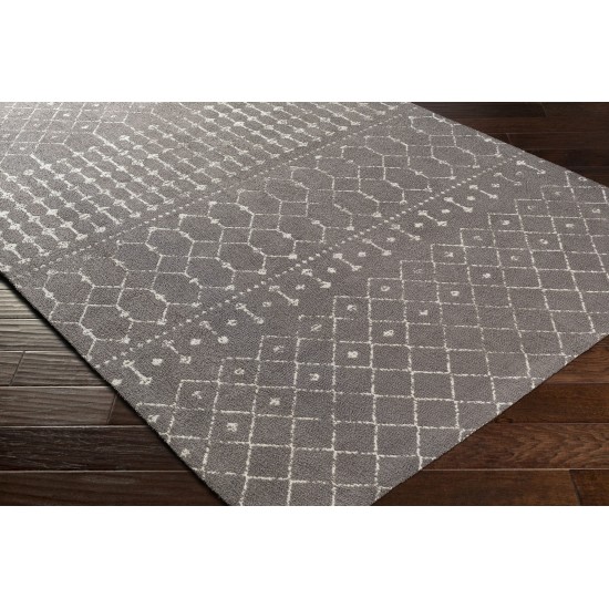 Surya Amsterdam Ams-1026 Charcoal Rug 2' X 3'