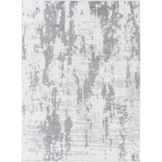 Surya Andalus Adu-2331 Gray Rug 5'3" X 7'