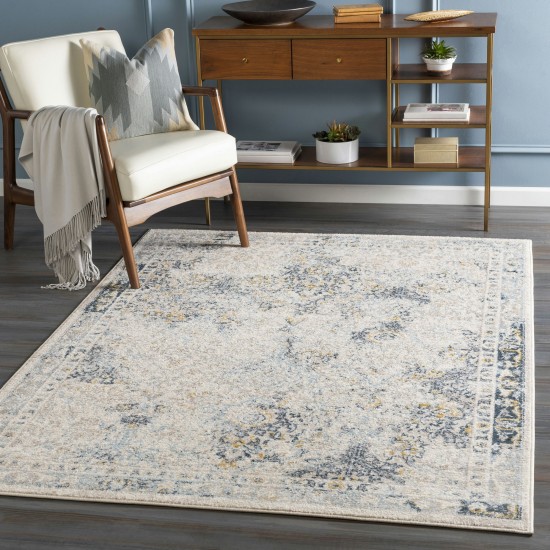 Surya Ankara Ice Blue Rug 6'7" X 9'