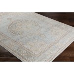 Surya Antioch Seafoam Rug 5'3" X 7'1"