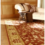 Surya Antolya Brick Red Rug 5'6" X 8'6"