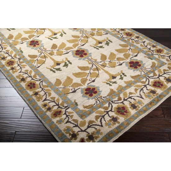 Surya Apollo Apo-1006 Tan Rug 2' X 3'