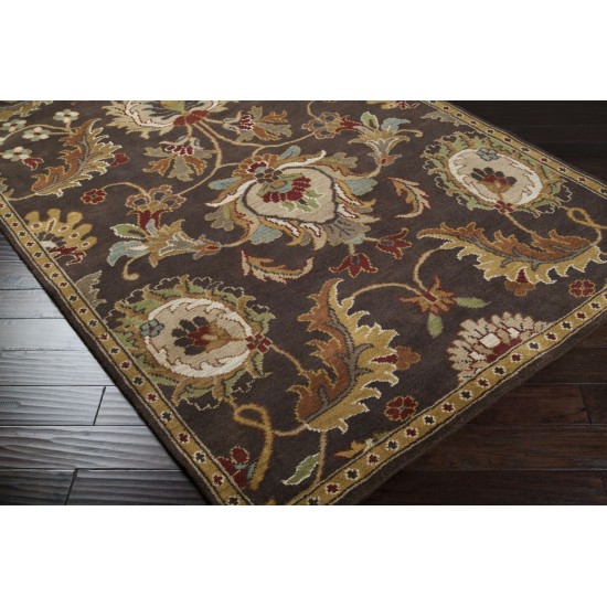 Surya Apollo Apo-1008 Tan Rug 2' X 3'