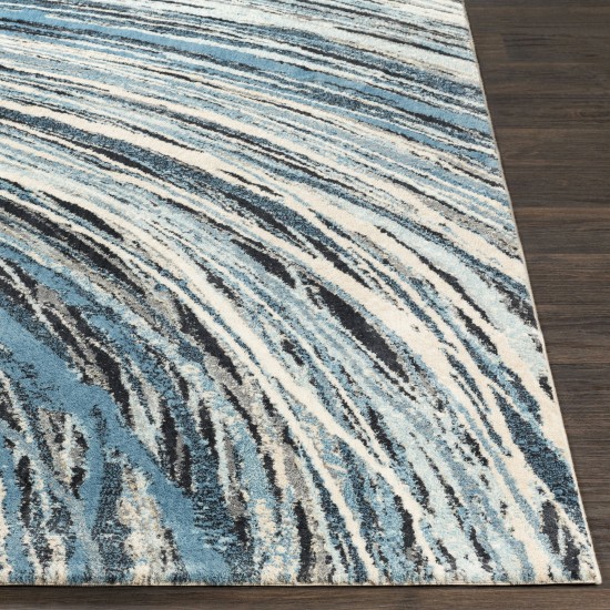 Surya Apricity Blue Rug 2' X 3'