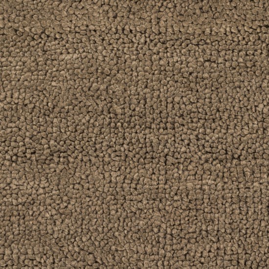 Surya Aros Aros-10 Dark Brown Rug 2' X 3'