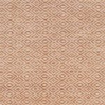 Surya Astara Burnt Orange Rug 9' X 13'