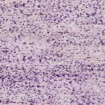 Surya Bazaar Lilac Rug 8' X 11'