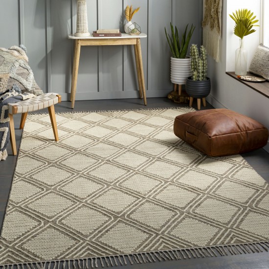 Surya Bedouin Taupe Rug 2' X 3'