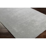 Surya Bellatrix Gray Rug 2' X 3'