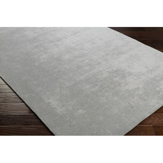 Surya Bellatrix Gray Rug 2' X 3'