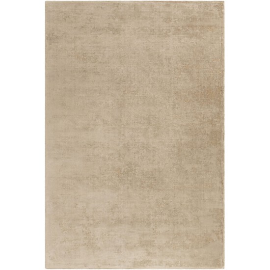 Surya Bellatrix Brown Rug 4' X 6'